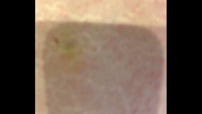 dirty Russian tramp shaven a penis like a rhinoceros horn