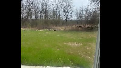 inexperienced blowjob with cumshot, fantasy somebody watched us